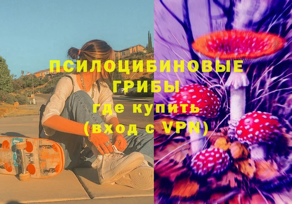 молекула духа Абинск