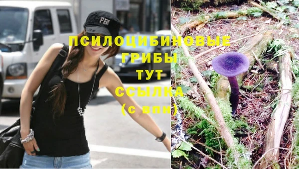 молекула духа Абинск