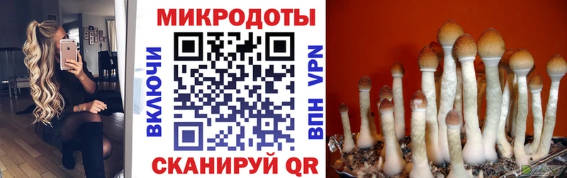 сколько стоит  блэк спрут ссылки  Псилоцибиновые грибы Cubensis  Кировград 